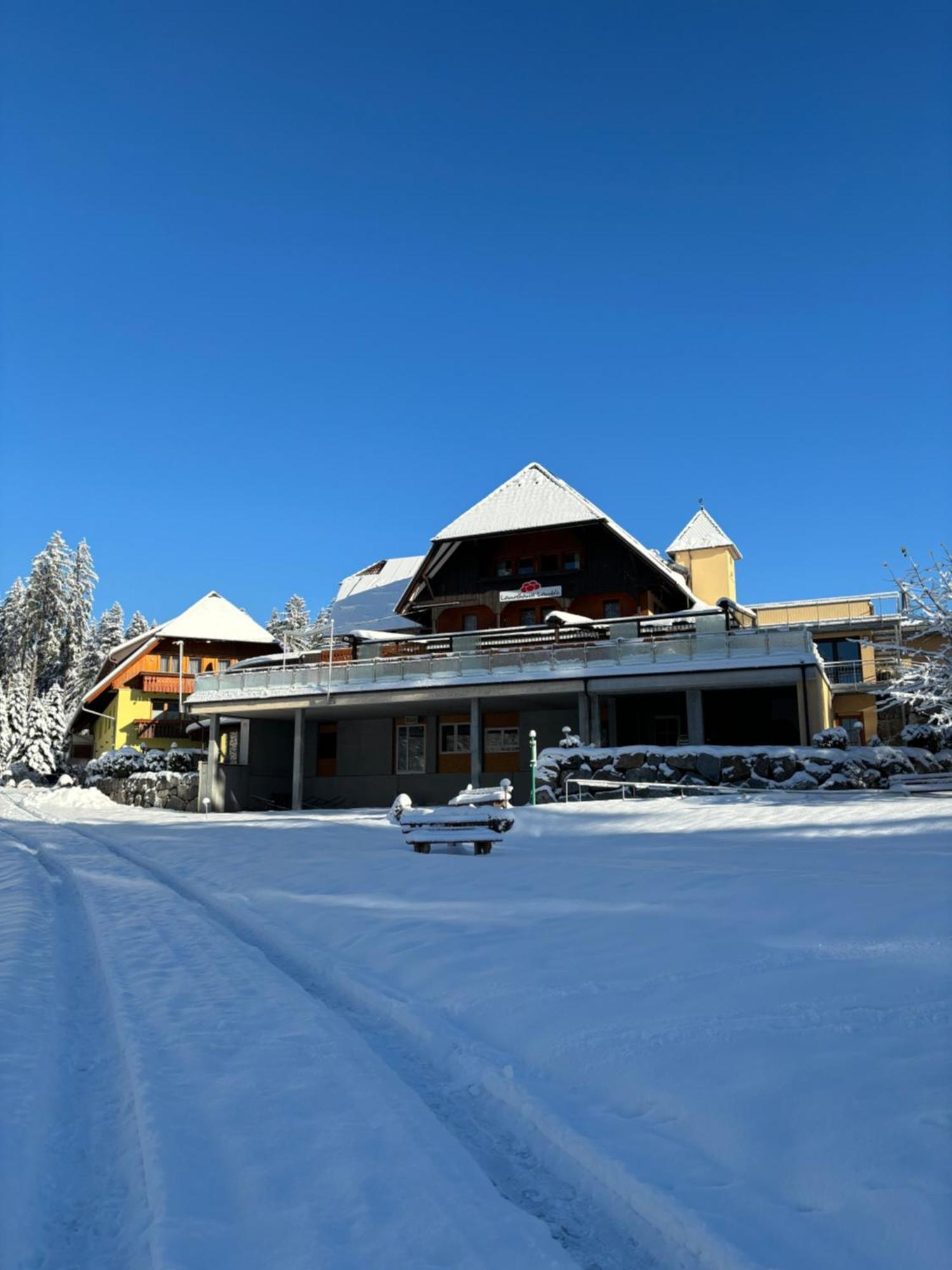 Landhaus Lauble Hornberg Exterior photo